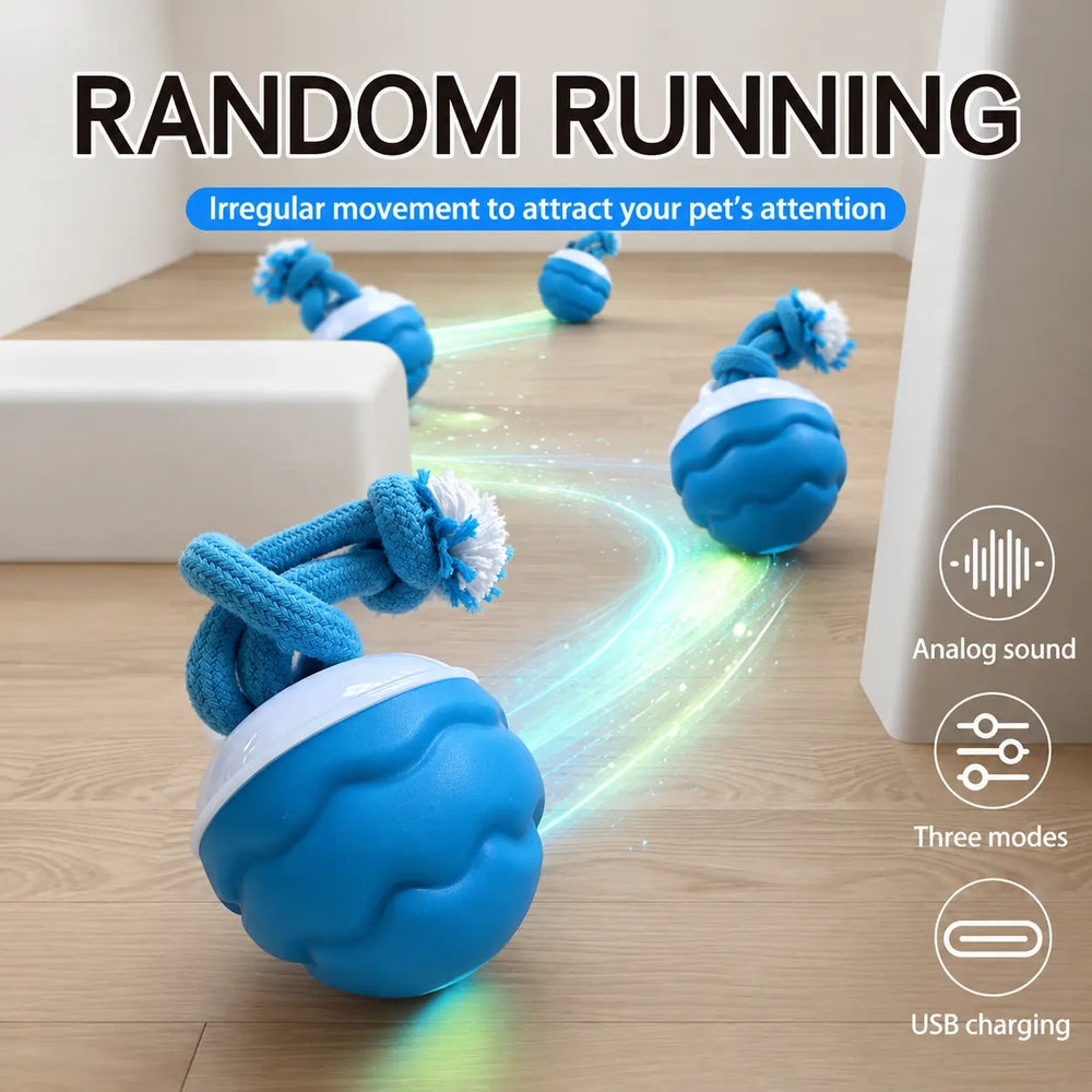 Smart Tug Ball for Dogs