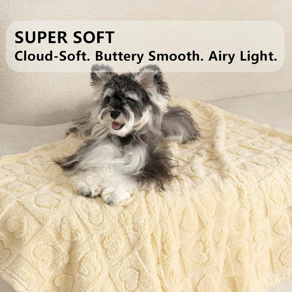 Coral Fleece Blanket