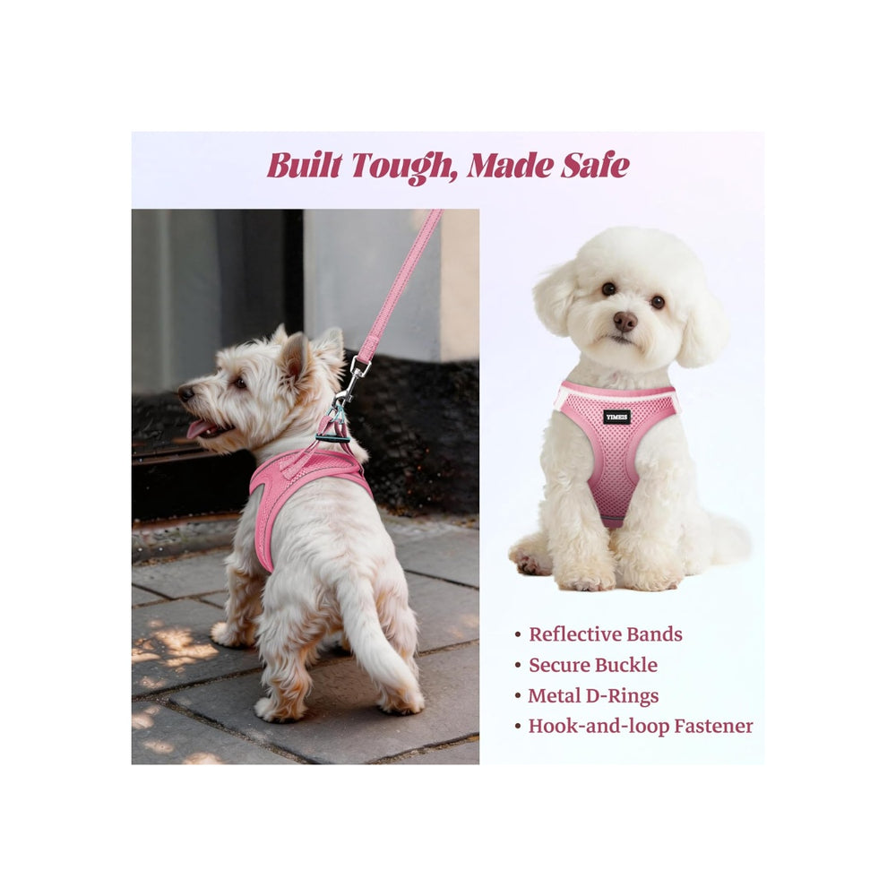 No-Pull Mesh Harness Set