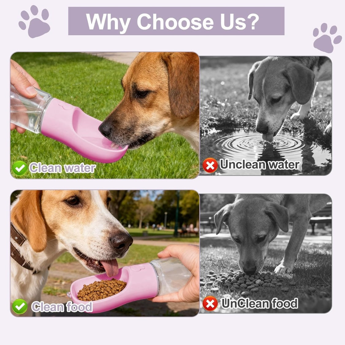 2-in-1 Water & Snack Bottle