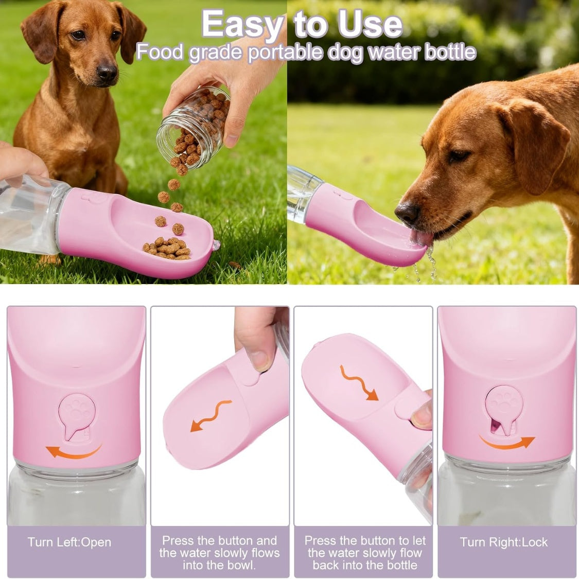 2-in-1 Water & Snack Bottle