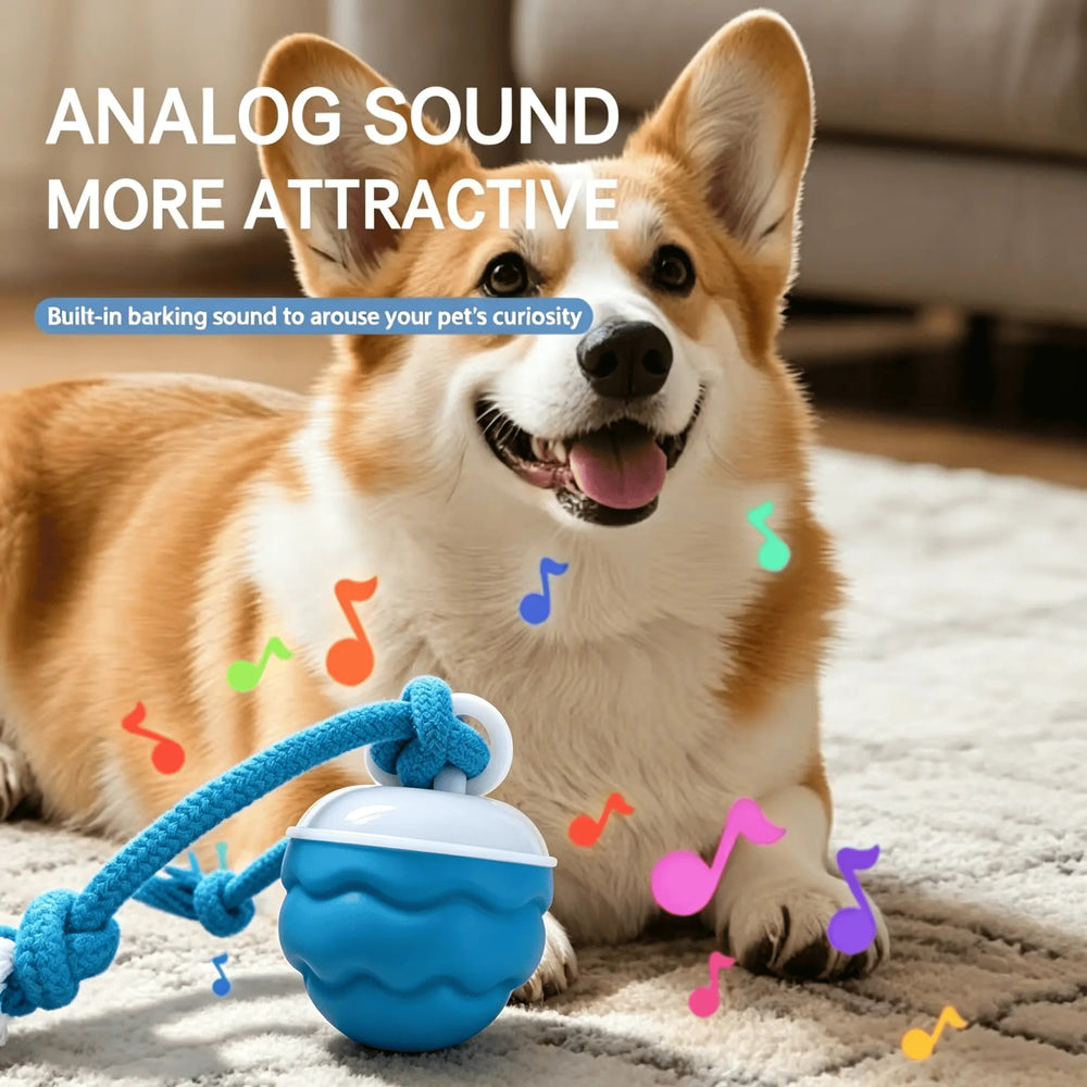 Smart Tug Ball for Dogs