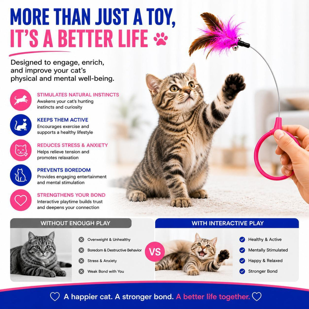 Feather Collar Cat Toy