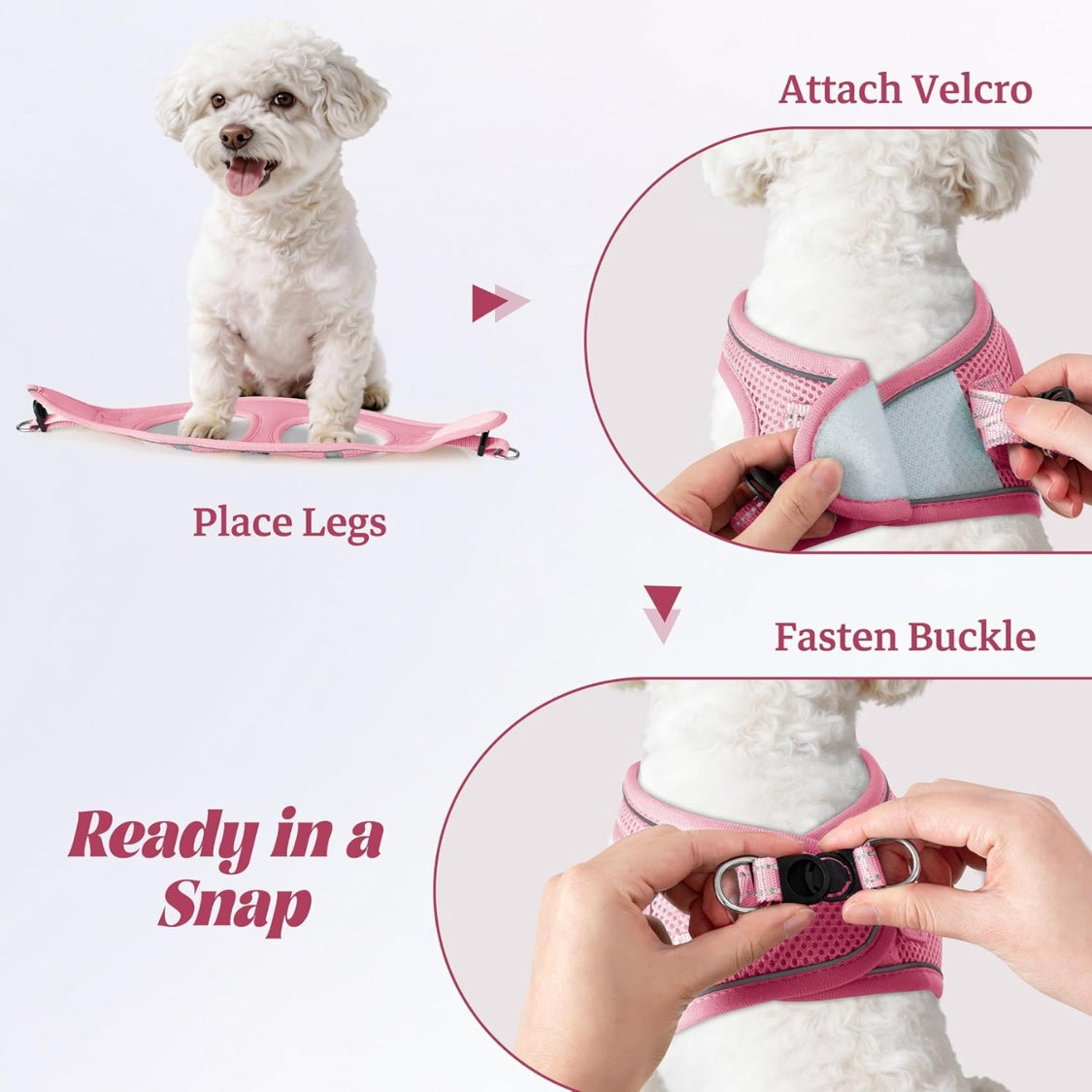 No-Pull Mesh Harness Set