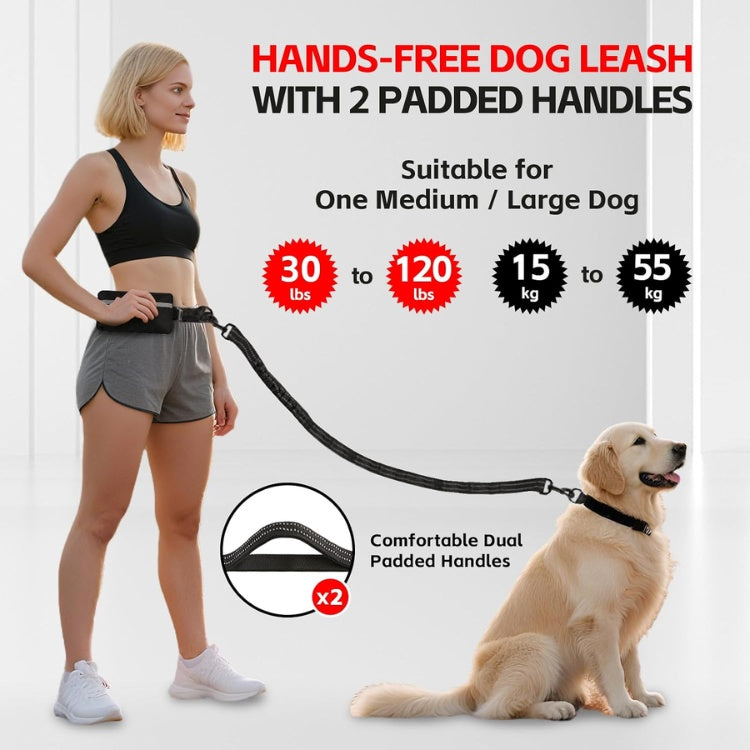 Hands-Free Waist Leash