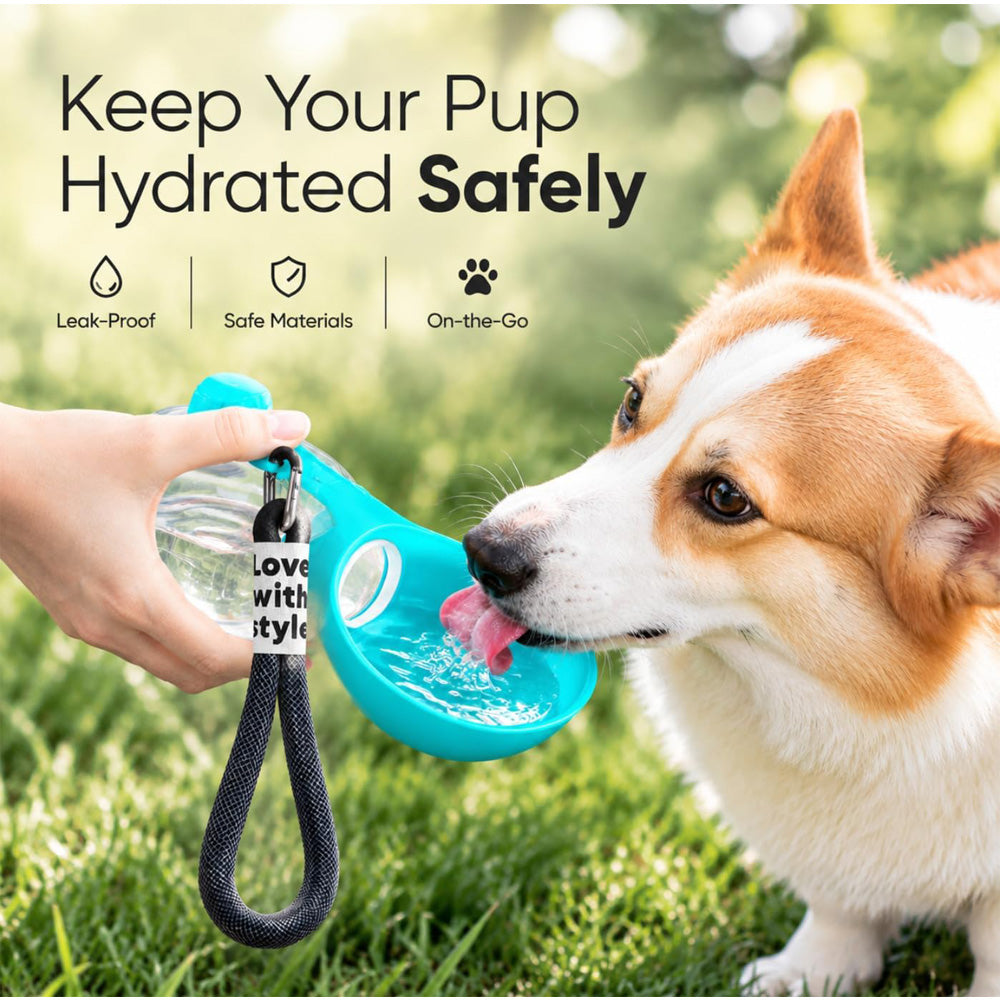 Travel Water Bottle