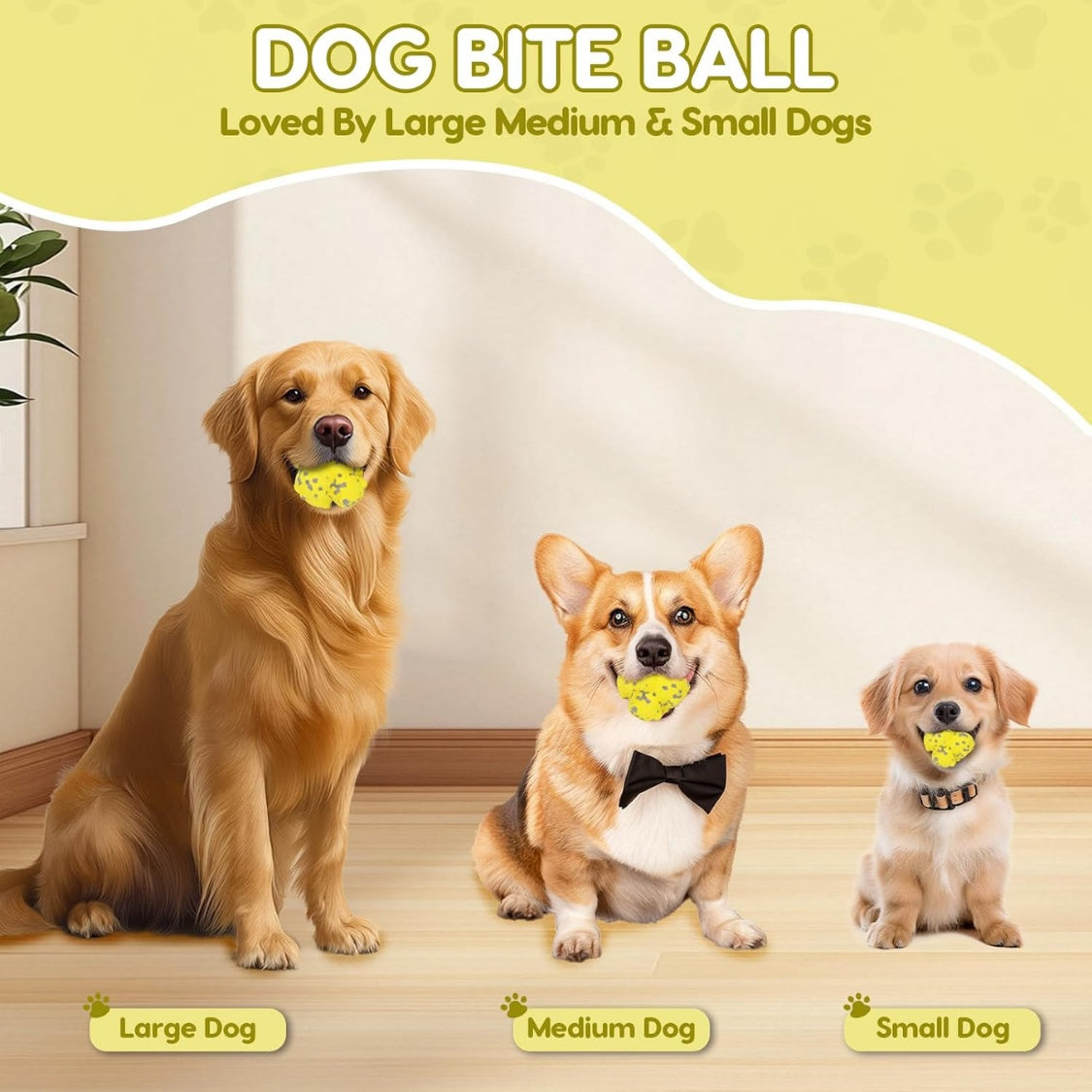 Spike Chew Ball