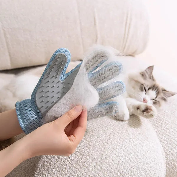 Two-Sided Grooming Glove