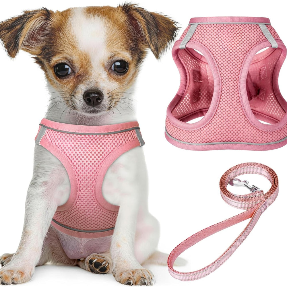 No-Pull Mesh Harness Set