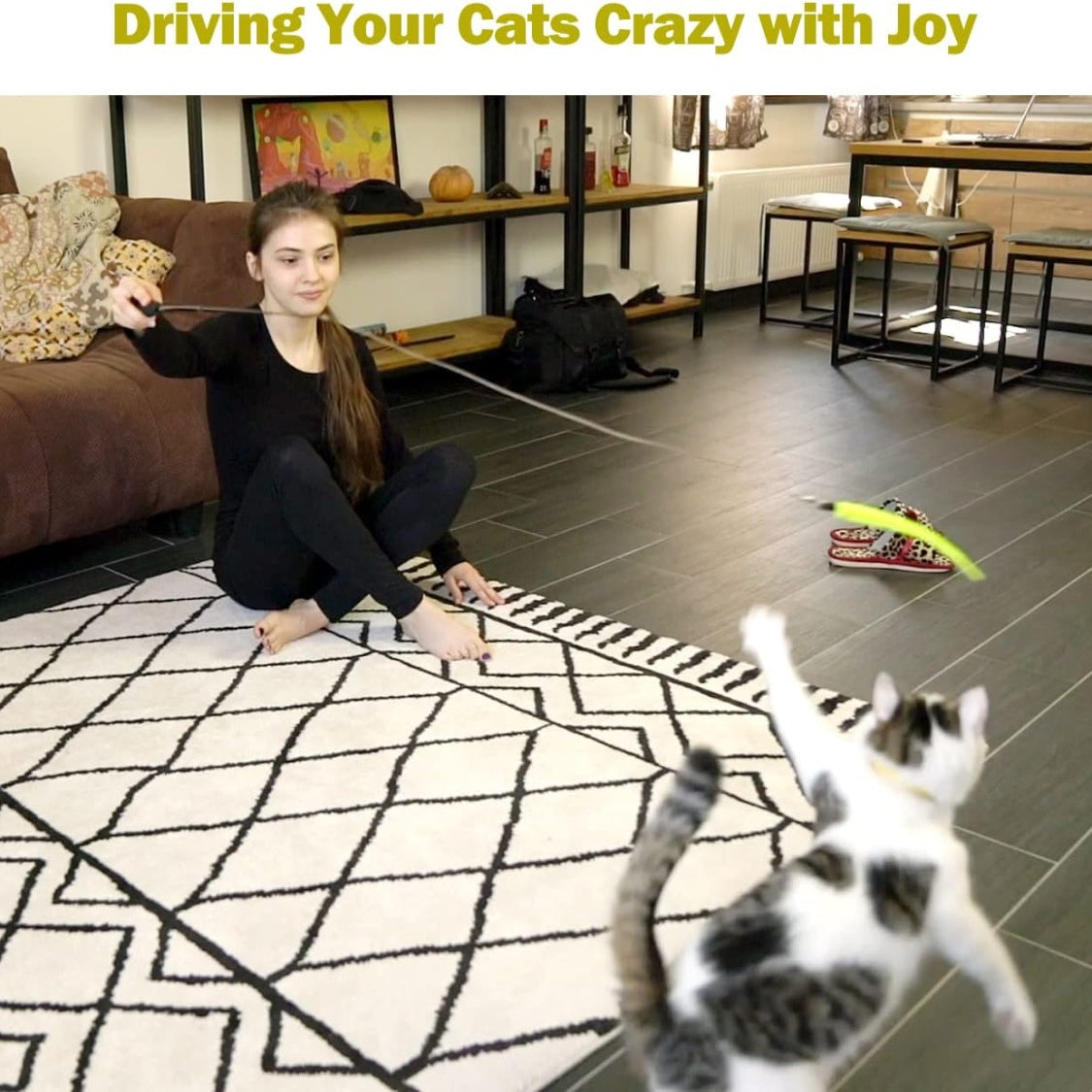Retractable Cat Wand Set