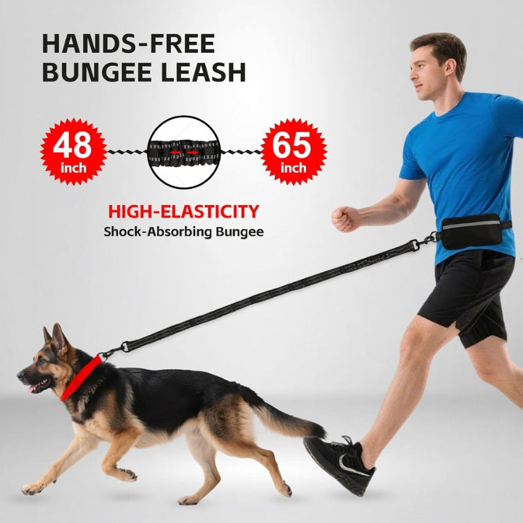 Hands-Free Waist Leash