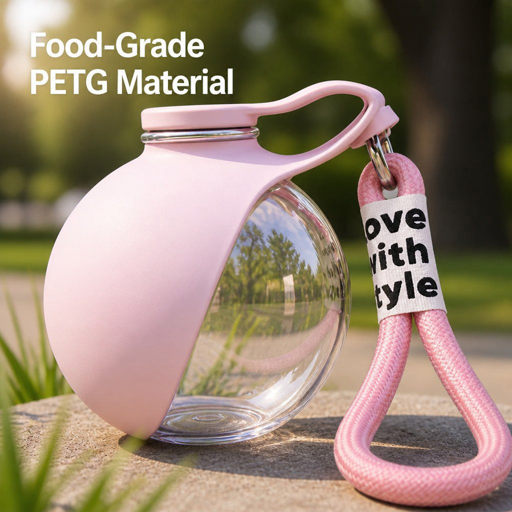 Travel Water Bottle