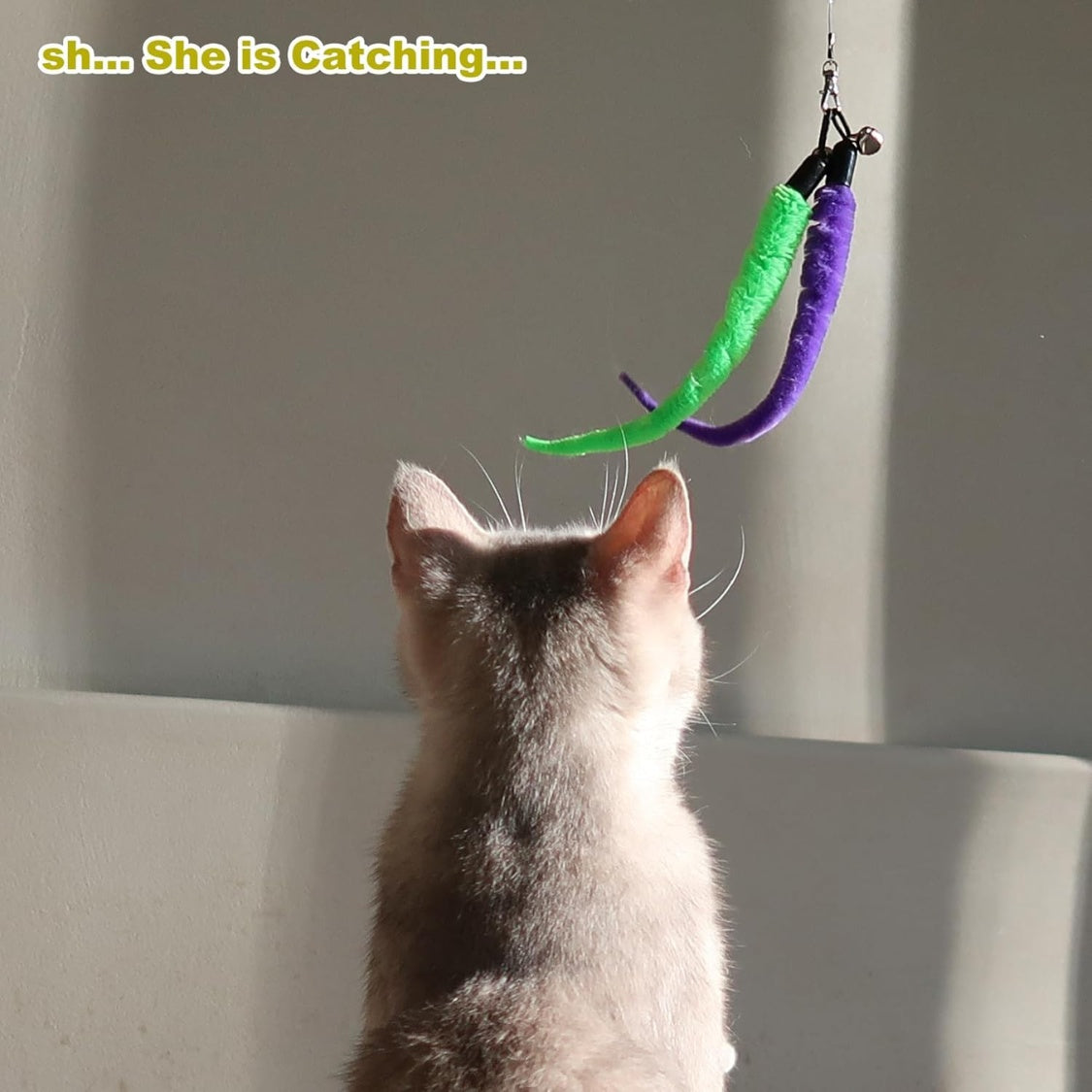 Retractable Cat Wand Set