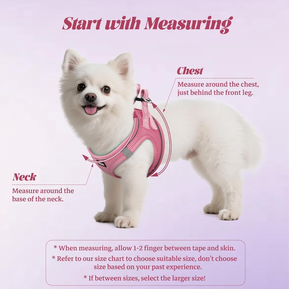 No-Pull Mesh Harness Set