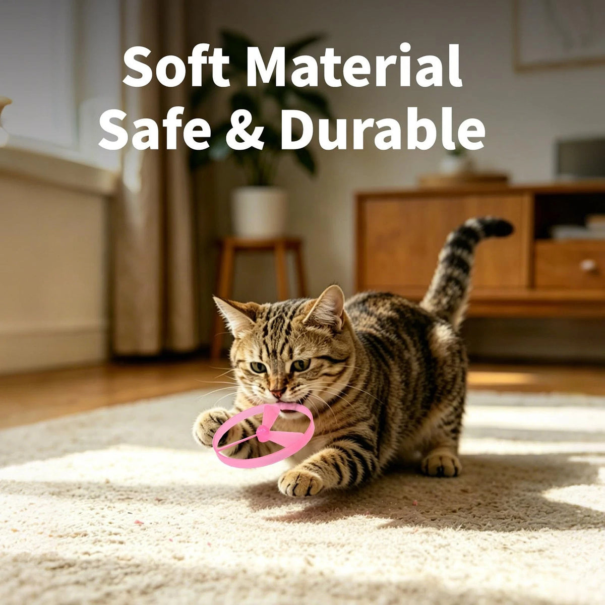 Cat Fetch Disc Launcher